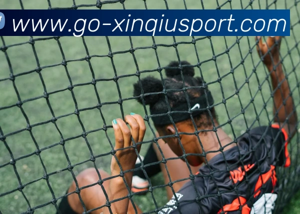 新球体育发展历程